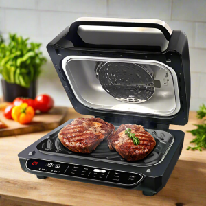 MILEX Airgriill airfryer